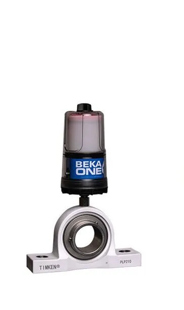 Beka on Bearing.webp